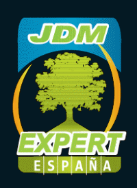 JDM EXPERT ESPAÑA SL